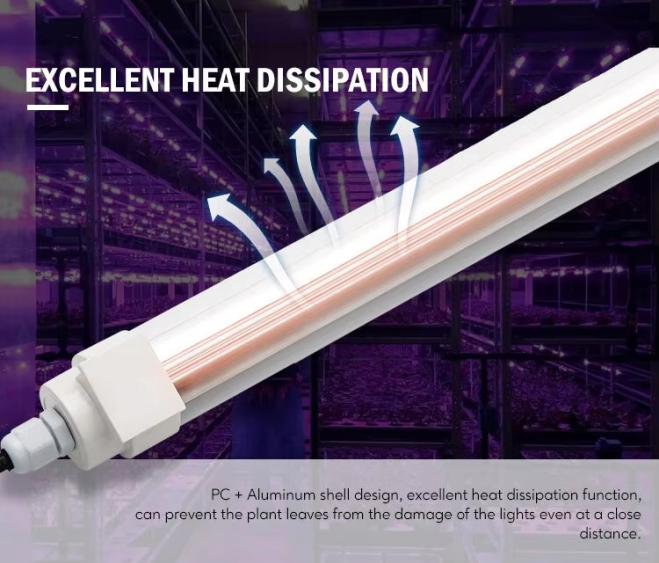 Interlighting Plant LED Grow Light6
